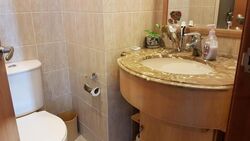 Tanglin View (D3), Condominium #477581441